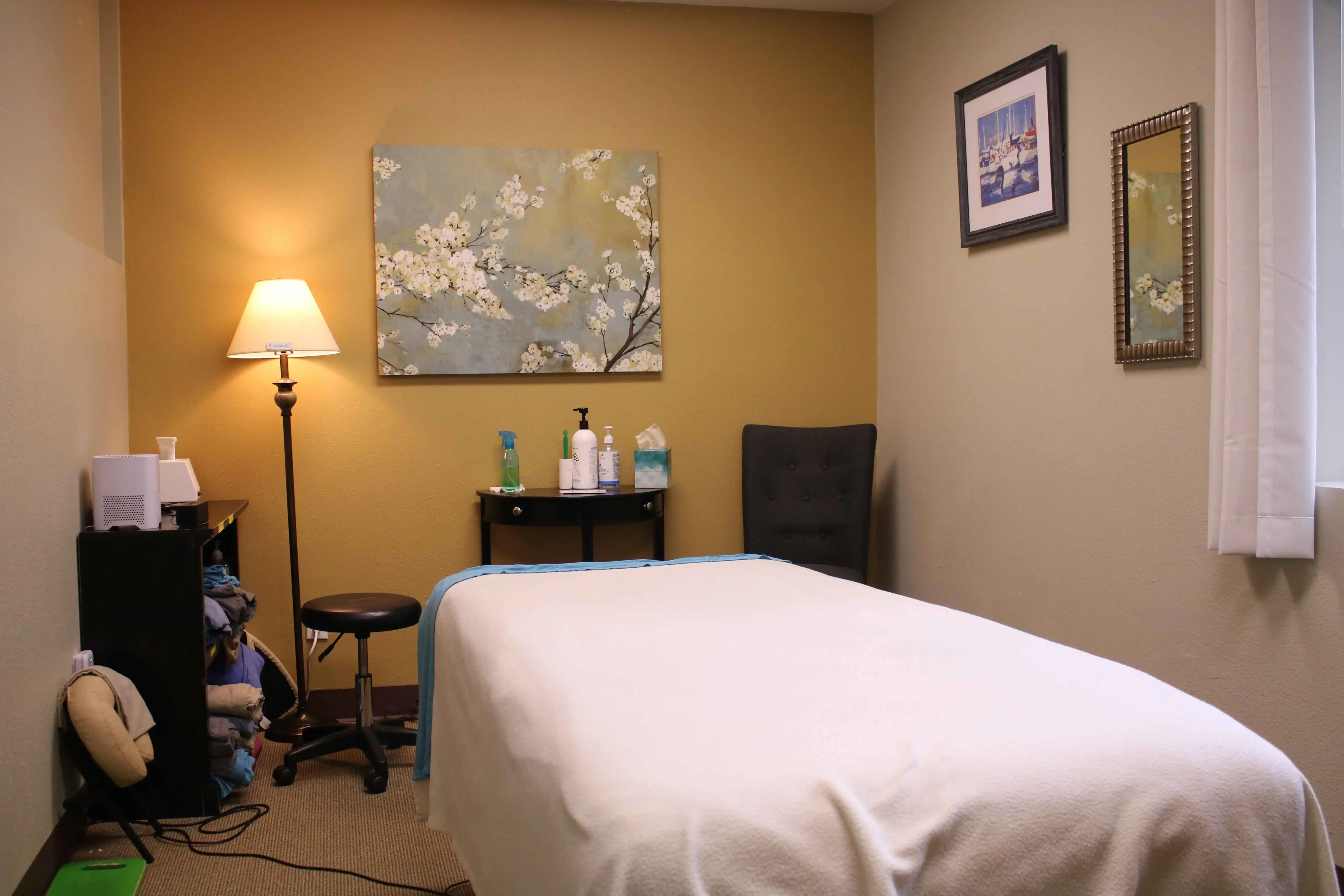 Massage Therapy Treatment Room
